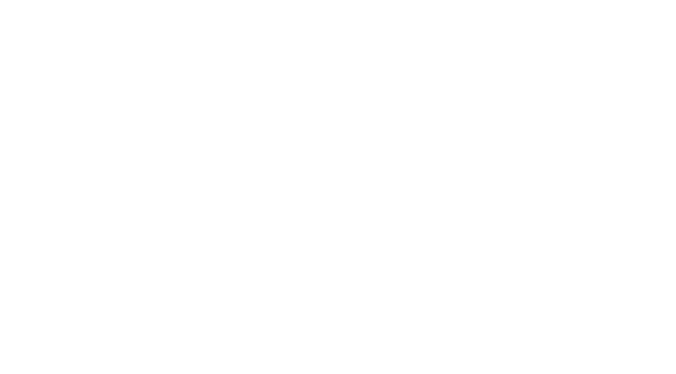 Pine Test Equipment logo